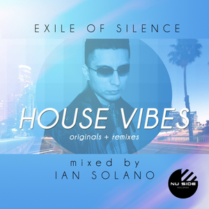House Vibes (Continuous Mix)