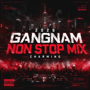 2026 Gangnam Non Stop Mix