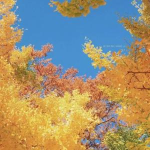 最美的价值（10）