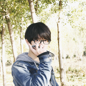 樱花樱花想见你 十孔口琴