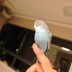 行路人间
