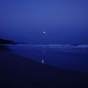 就忘了吧（满天飞雪把我心冷却）