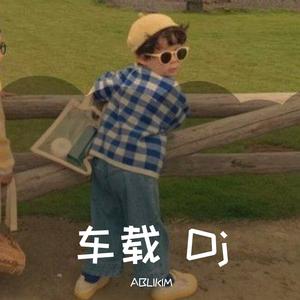 车载 Dj