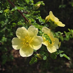 思念越山岗