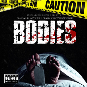 Bodies