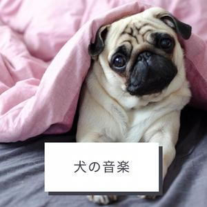リラックスした犬の音楽