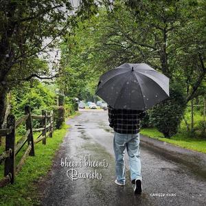 Bheeni Bheeni Baarish