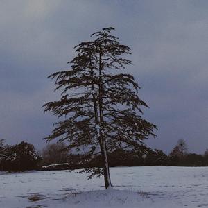 Love Maze（Chinese Ver.）（翻自 补天石）