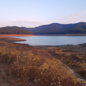 근처의 어느 바