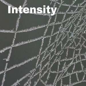 Intensity
