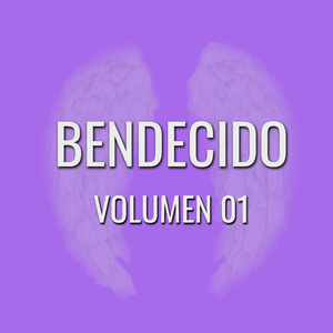 Volumen 01