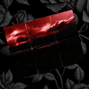 The Devine Chocolate