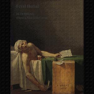 BLOODHAIL (Have a Nice Life)