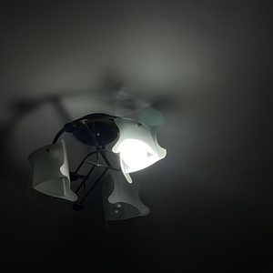 untitled 26 (Slowed)