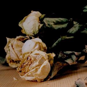 她给我打电话  定了机票来看我的演出