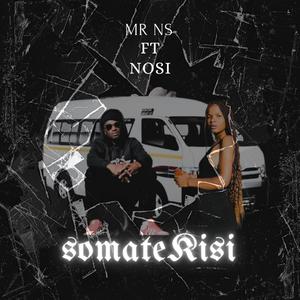 Somatekisi