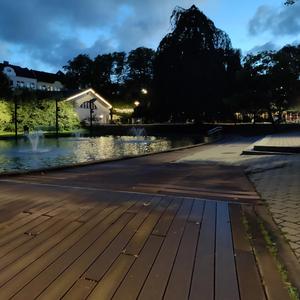 Nej tack (Dampa litegrann)