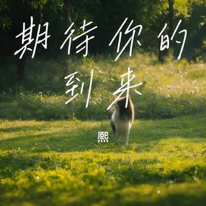 期待你的到来