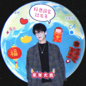 好想回家过龙年