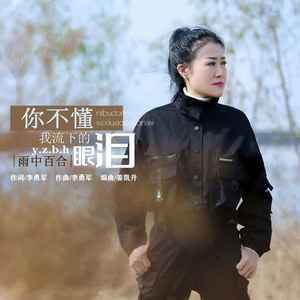 你不懂我流下的眼泪