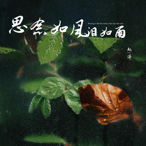 思念如风泪如雨