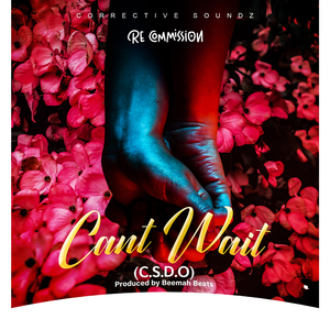Can't wait (C.S.D.O)
