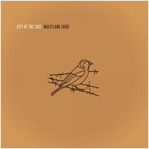 Across the Plain Before Daylight