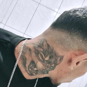 MTG TRAZ AS AMİGUİNHA