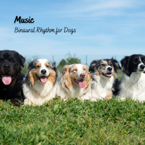 Binaural Beats 8.6 Hz Anxiety Relief