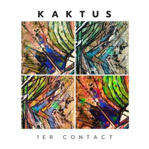 Misty Gris (feat. Chapaton Eric, Cerceau Jean michel, Niau Frédéric & Doux Christian)