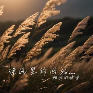 晚风里的旧站牌