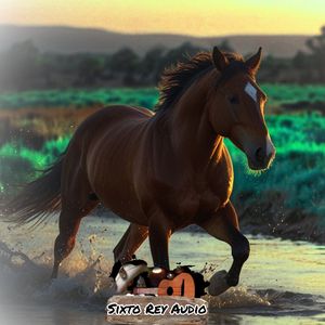 Omar Camacho - María Esperanza