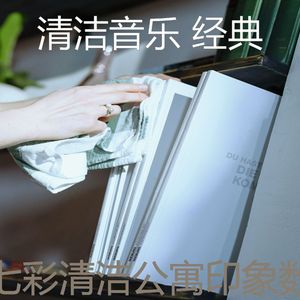微妙的清洁公寓心情