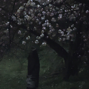 NIGHTS LIKE THIS PT 2 (Ambient Demo Version)