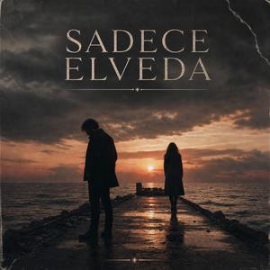 Sadece Elveda