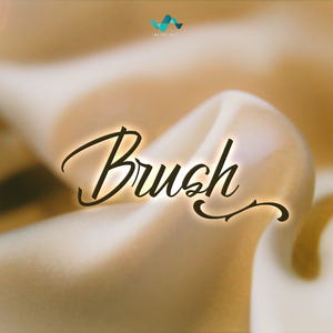 Brush