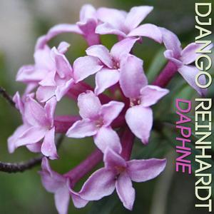 Daphne