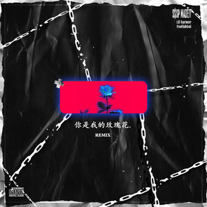 你是我的玫瑰花