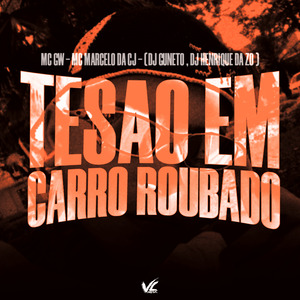 Tesao em Carro Roubado