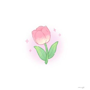 tulip