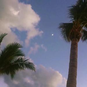 心如止水【立体声】