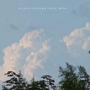 秋天的风它不曾见过桃花（纯音乐 钢琴曲）