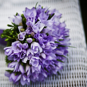 होलीया के माजा लेली राजा जी