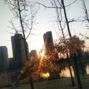 《翻唱》有点甜.录音