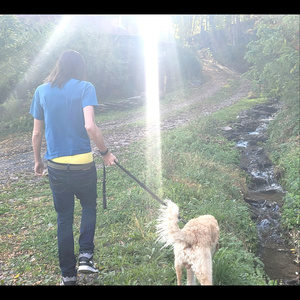 Sampletosongs19saxophonetenorsolo