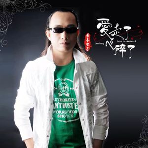 爱走了心碎了（DJ何鹏版）