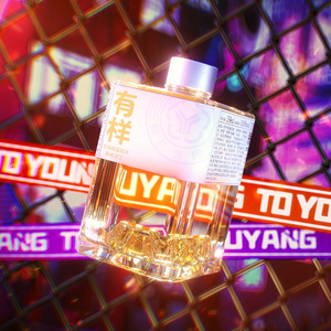 魔动闪霸：有样