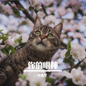 你的眼神