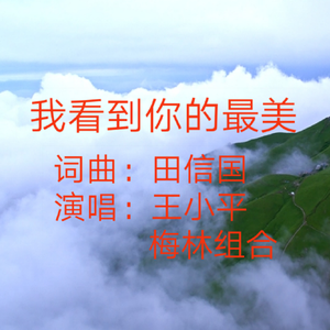 我看到你的最美【田信国词曲 王小平 梅林组合演唱】
