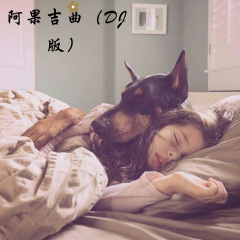 爱你最后伤了我自己